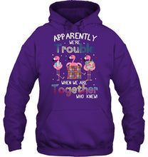 Load image into Gallery viewer, Apparently We're Trouble Pink Flamingo Quilting Together Hoodie

