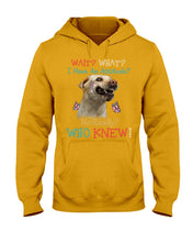 Load image into Gallery viewer, Labrador Retriever Attitude Really Gift For Dog Lovers Hoodie
