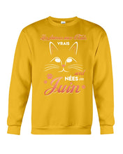 Load image into Gallery viewer, Lé Dames Aux Thats Vrais Sont Nées En   Juin For Birthday Gift Sweatshirt

