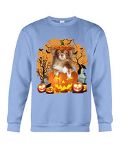 Load image into Gallery viewer, Chihuahua Book Pumpkin Halloween Gift For Dog Lovers Sweatshirt
