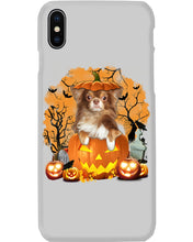 Load image into Gallery viewer, Chihuahua Book Pumpkin Halloween Gift For Dog Lovers Phone case
