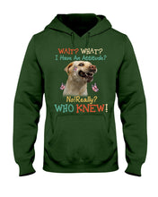 Load image into Gallery viewer, Labrador Retriever Attitude Really Gift For Dog Lovers Hoodie
