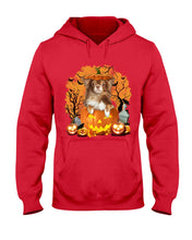 Load image into Gallery viewer, Chihuahua Book Pumpkin Halloween Gift For Dog Lovers Hoodie
