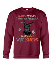 Load image into Gallery viewer, Black Great Dane Attitude Really Gift For Dog Lovers Sweatshirt
