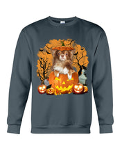 Load image into Gallery viewer, Chihuahua Book Pumpkin Halloween Gift For Dog Lovers Sweatshirt
