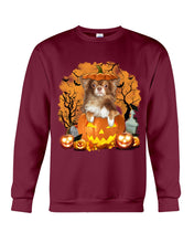 Load image into Gallery viewer, Chihuahua Book Pumpkin Halloween Gift For Dog Lovers Sweatshirt
