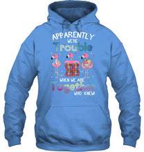 Load image into Gallery viewer, Apparently We're Trouble Pink Flamingo Quilting Together Hoodie
