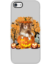 Load image into Gallery viewer, Chihuahua Book Pumpkin Halloween Gift For Dog Lovers Phone case
