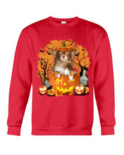 Load image into Gallery viewer, Chihuahua Book Pumpkin Halloween Gift For Dog Lovers Sweatshirt
