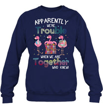 Load image into Gallery viewer, Apparently We're Trouble Pink Flamingo Quilting Together Sweatshirt
