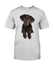 Load image into Gallery viewer, Labrador Retriever Custom Design Gift For Labrador Retriever Lovers Guys Tee
