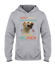 Load image into Gallery viewer, Labrador Retriever Attitude Really Gift For Dog Lovers Hoodie
