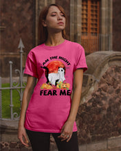 Load image into Gallery viewer, I Am The Night Fear Me Ghost Cat Gift For Cat Lovers Guys Tee

