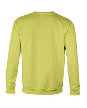 Load image into Gallery viewer, I Can't Fix Stupid But I An Sadate It Gift For Girls Sweatshirt

