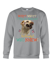 Load image into Gallery viewer, Labrador Retriever Attitude Really Gift For Dog Lovers Sweatshirt
