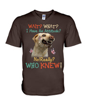 Load image into Gallery viewer, Labrador Retriever Attitude Really Gift For Dog Lovers Guys V-Neck
