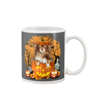 Load image into Gallery viewer, Chihuahua Book Pumpkin Halloween Gift For Dog Lovers Mug
