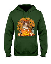 Load image into Gallery viewer, Chihuahua Book Pumpkin Halloween Gift For Dog Lovers Hoodie
