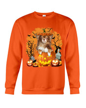 Load image into Gallery viewer, Chihuahua Book Pumpkin Halloween Gift For Dog Lovers Sweatshirt
