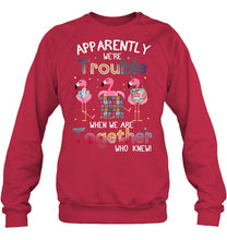 Load image into Gallery viewer, Apparently We're Trouble Pink Flamingo Quilting Together Sweatshirt

