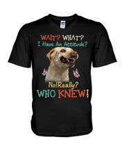 Load image into Gallery viewer, Labrador Retriever Attitude Really Gift For Dog Lovers Guys V-Neck
